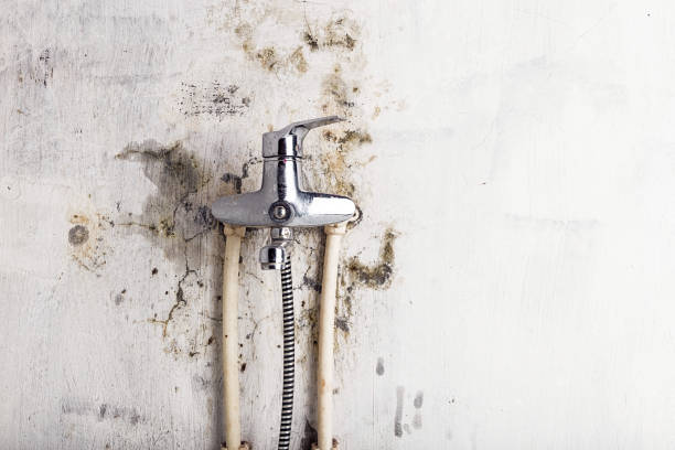 Best Commercial Mold Removal  in Framingham, MA