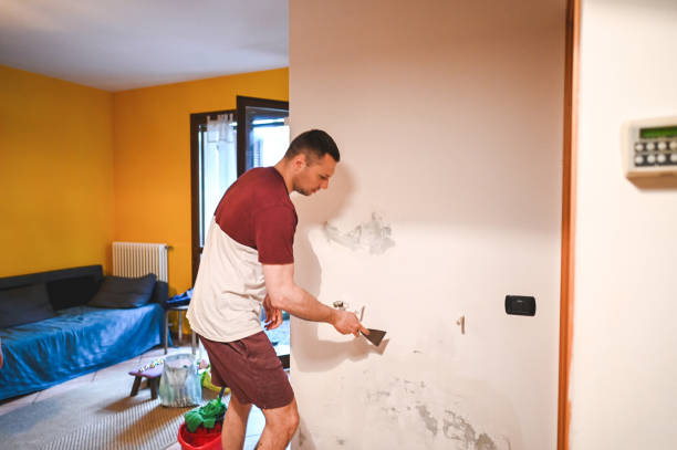 Best Mold Testing  in Framingham, MA